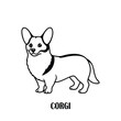 © Yasin - Corgi Dog Vector Illustration in Cute and Playful Style