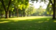© Feb - Blurred Green Park Landscape with Lush Meadow and Sunny Trees