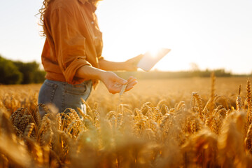 Fototapete - A young female agronomist with a digital tablet works in a golden wheat field. A farmer checks the quality of the crop with a tablet. The concept of agriculture, rich harvest.