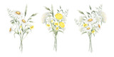 Bouquets floral of watercolor wildflowers chamomile, dandelion, yarrow, buttercup and meadow grasses isolated from background. Hand drawn illustration set of yellow white flowers for fabric, postcard.