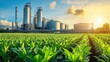 © Sawat - Bioenergy plant surrounded by agricultural crops, converting waste to energy
