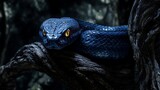 Black Snake with Yellow Eyes Coiled on a Dark Tree Branch