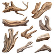 © Sabellatint - My Simple flat 2D illustration Collection of driftwood isolated on a transparent background, vector, flat design, animation design, simple flat 2D icon, clipart