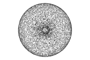 Leinwandbilder - Technology abstract background. Dots connected by lines. Minimalist mesh backdrop. Abstract polygonal radial shape. Plexus circles.