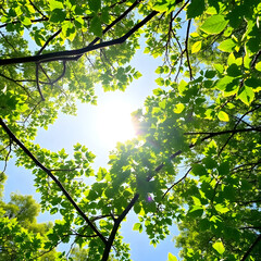 Canvas Print - branch