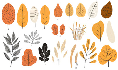 Wall Mural - autumn leaf collection vector illustration in minimalist flat style for seasonal designs