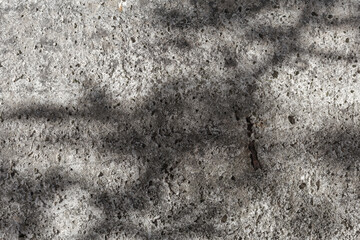 Fototapete - Concrete surface wall background with trees shadows and sunlight