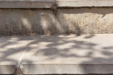 Fototapete - leaves and trees shadows in sunny day with sunlight on stone concrete surface podium table step mock up. Sunlight shadows highlights display design abstract empty place shelf and tabletop