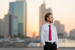 © Minerva Studio - Businessman looking at Dubai skyline at sunset, United Arab Emirates