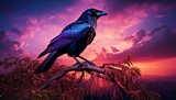 A blue-black raven sits on a branch against the backdrop of dawn.