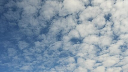 Wall Mural - Isolated background of white puffy clouds moving across a bright blue sky. Time lapse
