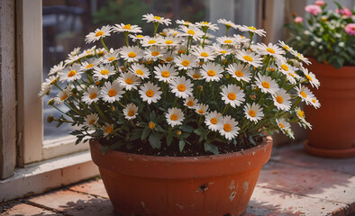 Poster - Large pot of white flowers sits on a windowsill. The flowers are in full bloom and are surrounded by a small pot of pink flowers. The scene is bright and cheerful, with the white flowers providing a