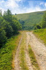 Wall Mural - country gravel road through highlands. travel transcarpathia region of ukraine in summer. carpathian