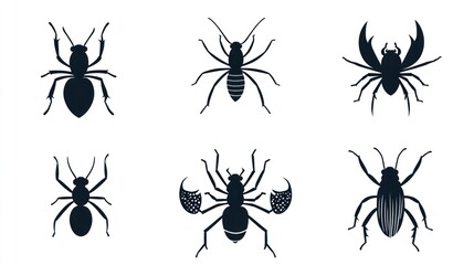 six insect silhouettes; white background; educational graphic