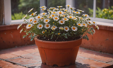 Poster - Potted plant with white flowers sits on a brick floor. The plant is in a small pot and is surrounded by a brick wall. The flowers are in full bloom, and the pot is placed on a ledge. The scene is