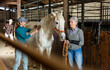 © JackF - Experienced elderly female breeder holding white purebred horse by bridle while her adult daughter cleaning animal with brush in stable. Family horses farm..