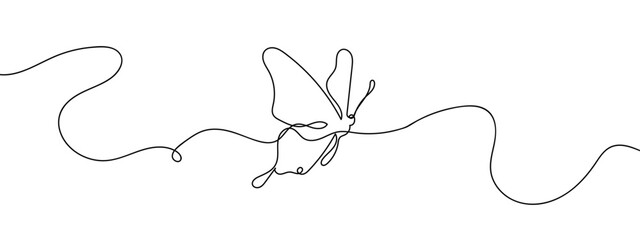 Wall Mural - Continuous line, beautiful butterfly Simple lines, transparent background, editable strokes.