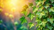 © Sirinporn - Vibrant Spring Topaz Ivy Vine, Lush Green Leaves, Natural Light, Rule of Thirds Composition