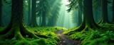 Ancient pines, emerald moss blankets the forest floor, mystical glow , mysterious, magical