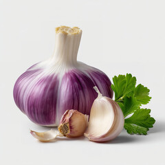 Wall Mural - Fresh garlic bulb with purple streaks a peeled clove and parsley leaf on the side detailed and natural isolated on transparent background. isolated white background