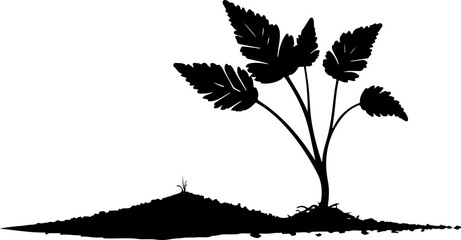 silhouette of a plant