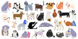 © luamor - Cartoon cute cats and dogs character collection in various poses and different breeds. Funny domestic animals with happy charming playful expression