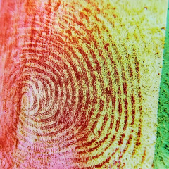 Wall Mural - colorful fingerprint swirl art detail; abstract background texture for design