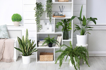 Poster - Shelving unit with different green houseplants and other decor at home