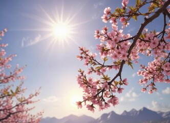 Vibrant spring blossoms on a tree branch against a sun-drenched sky ,  botany,  photography