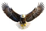 a spread wing bald eagle soars in the sky isolated on white background PNG , AI GENERATED