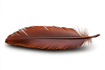 Poster - Realistic brown feather on a white background, with no shadows, shadow effects, reflections, or drop at the tip of the quill. No other feathers are visible, and the image is isolated with no
