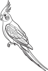 Wall Mural - side view illustration of a cockatiel in black and white line art showing crested head long tail and