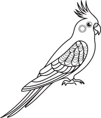 Wall Mural - elegant outline drawing of a cockatiel with crest and long tail in a monochrome minimalist style ide
