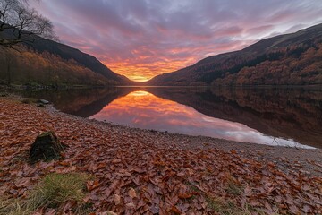 Aufkleber - A stunning sunset displays vivid orange and purple clouds merging into a deep blue sky, reflecting beautifully on a tranquil lake surrounded by autumn foliage