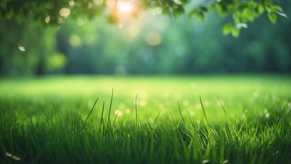 Wall Mural - lush green grass landscape in a natural outdoor setting