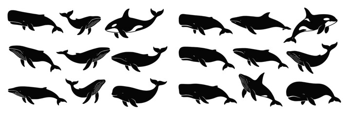 Poster - Set of web icons depicting various whale silhouettes in line style for digital design projects and websites