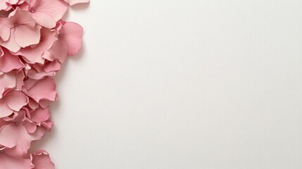 Aufkleber - Close-up view of soft pink daisy petals arranged in a spiral on a textured white surface, providing a minimalist feel and ample empty space for design purposes