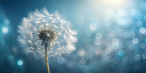 Poster - Serene Dandelion Seed Head Against a Soft Blue Bokeh Background