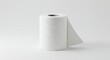 © LittleDuck - Paper Towel Roll on Clean White Background - Cleanliness, absorbency, convenience, domestic, household. A roll of white paper towels on a white background