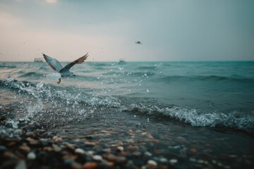 Aufkleber - Seagull takes flight over pebbled shore as waves crash under overcast sky during early evening