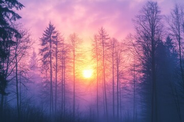 Aufkleber - Serene sunrise over misty forest with silhouette of tall trees and vibrant colors in the sky