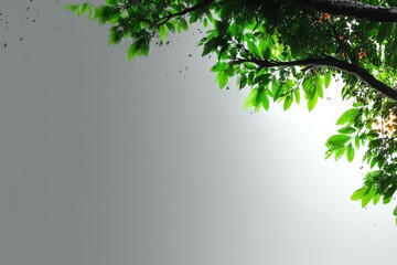 Poster - Vibrant green leaves gently swaying in the breeze under a bright sunlit sky