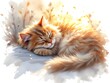 © stefano - gatto dorme dipinto