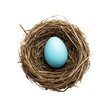 © SIAM - Single light blue bird egg in a bird's nest.