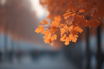 Wall Mural - capture serene autumn landscape where vibrant leaves and towering trees dominate foreground