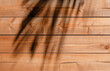 © Anchalee - Wood wall texture with palm leaf shadow,Horizon brown wooden floor surface texture for product background,Old table top with scratched weathered wood with light and shadows