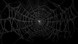 © artzone - Intricate Spiderweb Pattern In Dark Background