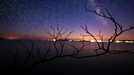 Night sky astrophotography milky way stars over water with silhouette tree branches view 100