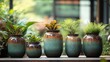 © SibteHUSSAIN - Raku pottery vases arranged a still life composition in an outdoor garden The natural light highlights the unique glaze patterns with lush greenery creating a harmonious setting