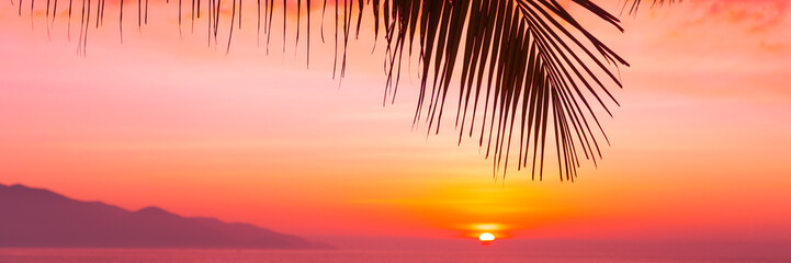 Wall Mural - Coconut palm leaves and nuts on tropical coast illuminated by red orange dawn, exotic mood vibe. Panoramic wide banner view